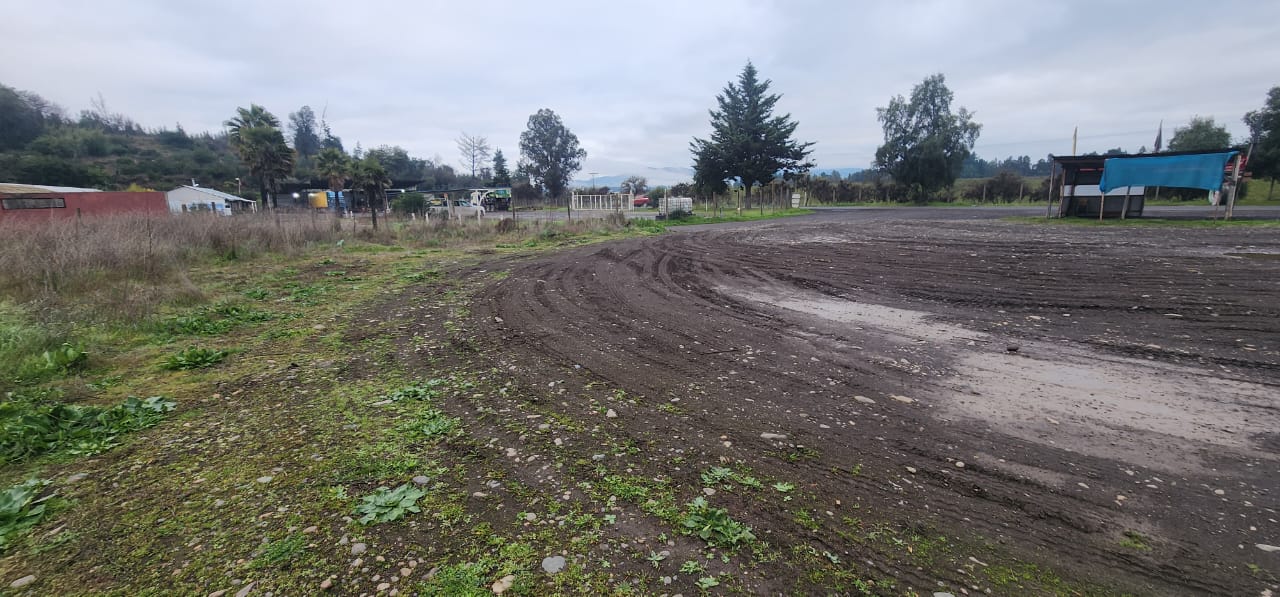 Terreno de 8.000 m²